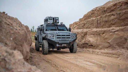 加拿大霸道apc轮式装甲运兵车